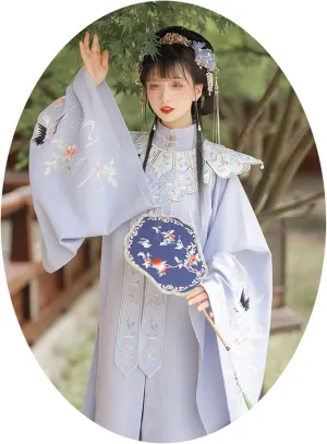 AMNOOL Women's Song Dynasty han-fu Ancient Chinese Costume Wide Sleeve Cardigan Sun Top Maxi Pleated Skirt (Color : B, Size : S=154-162cm)