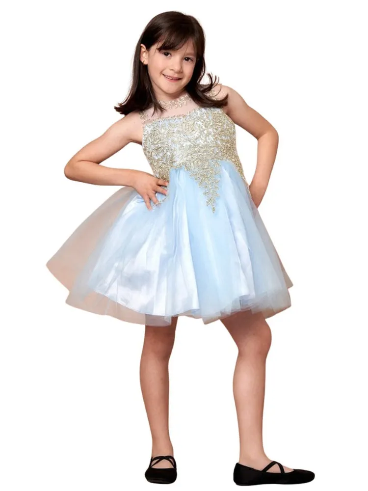 Little Girls Light Blue Embroidered Illusion Neckline Flower Girl Dress 4-6