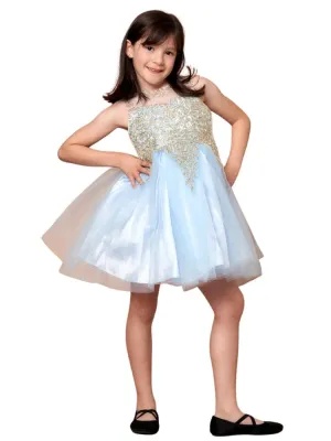 Little Girls Light Blue Embroidered Illusion Neckline Flower Girl Dress 4-6