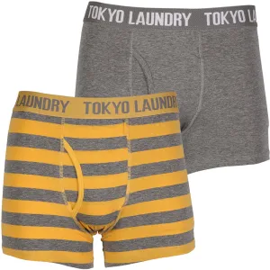 Roman ( 2 Pack) Boxer Shorts Set in Mid Grey Marl / Yolk Yellow - Tokyo Laundry